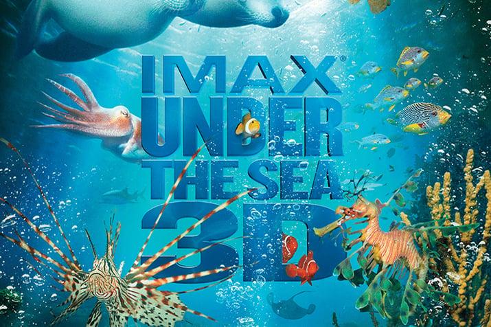 Watch educational documentaries like IMAX Under the Sea 3D on field trips
